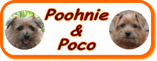 Poohnie&Poco